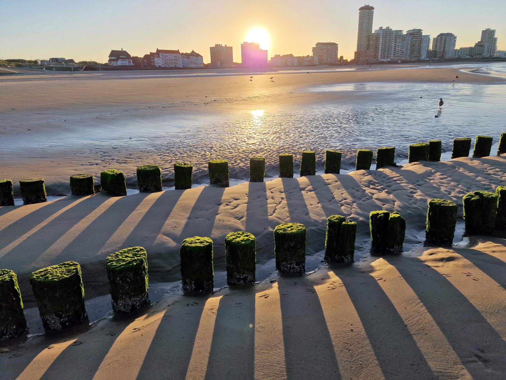 B&B Van Zon Aan Zee Вліссінген Екстер'єр фото